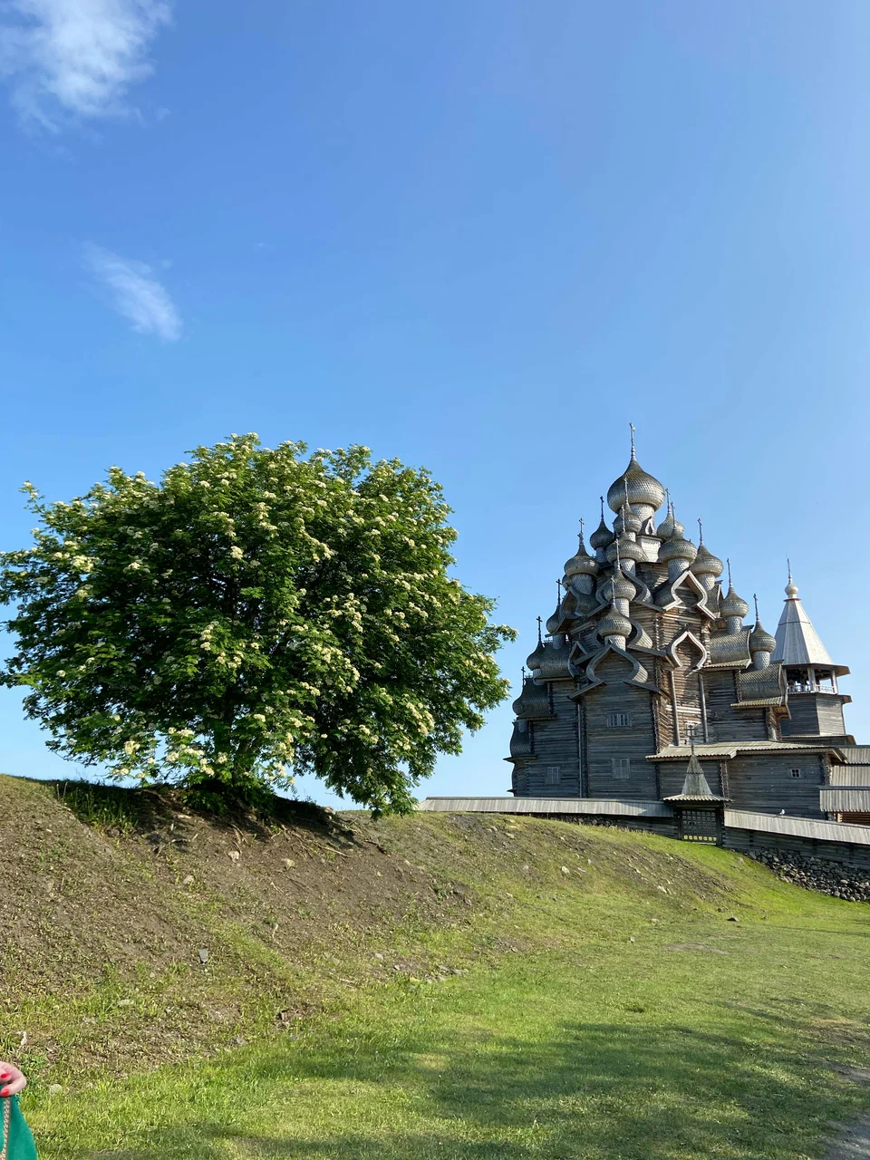 Фото организации