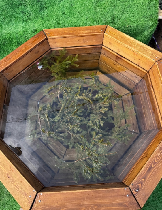 Фото организации