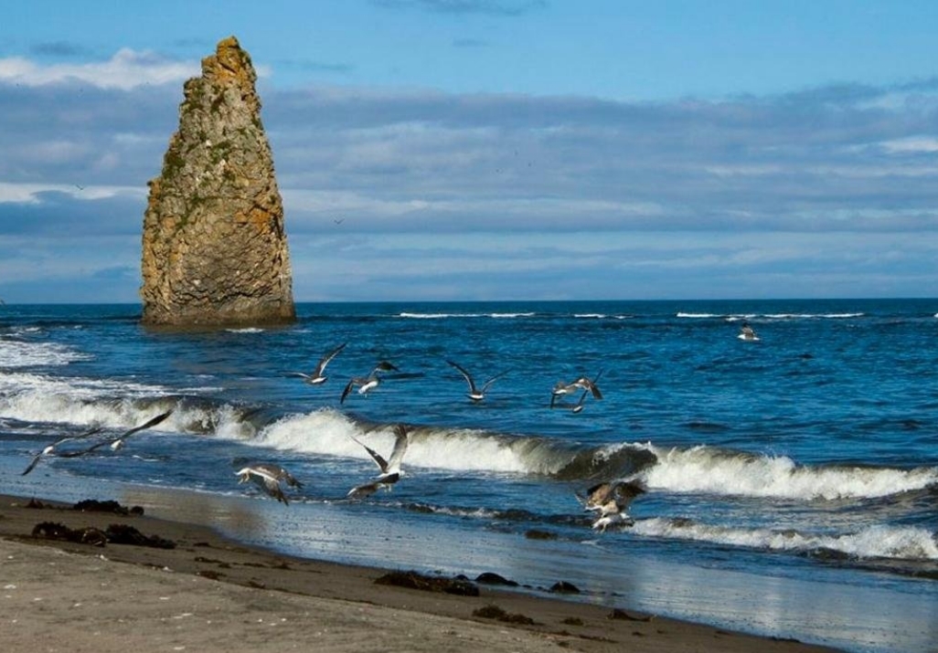 Фото организации