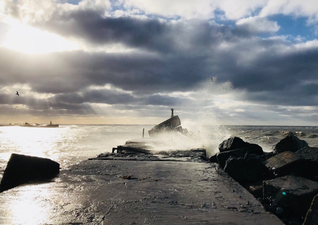 Фото организации