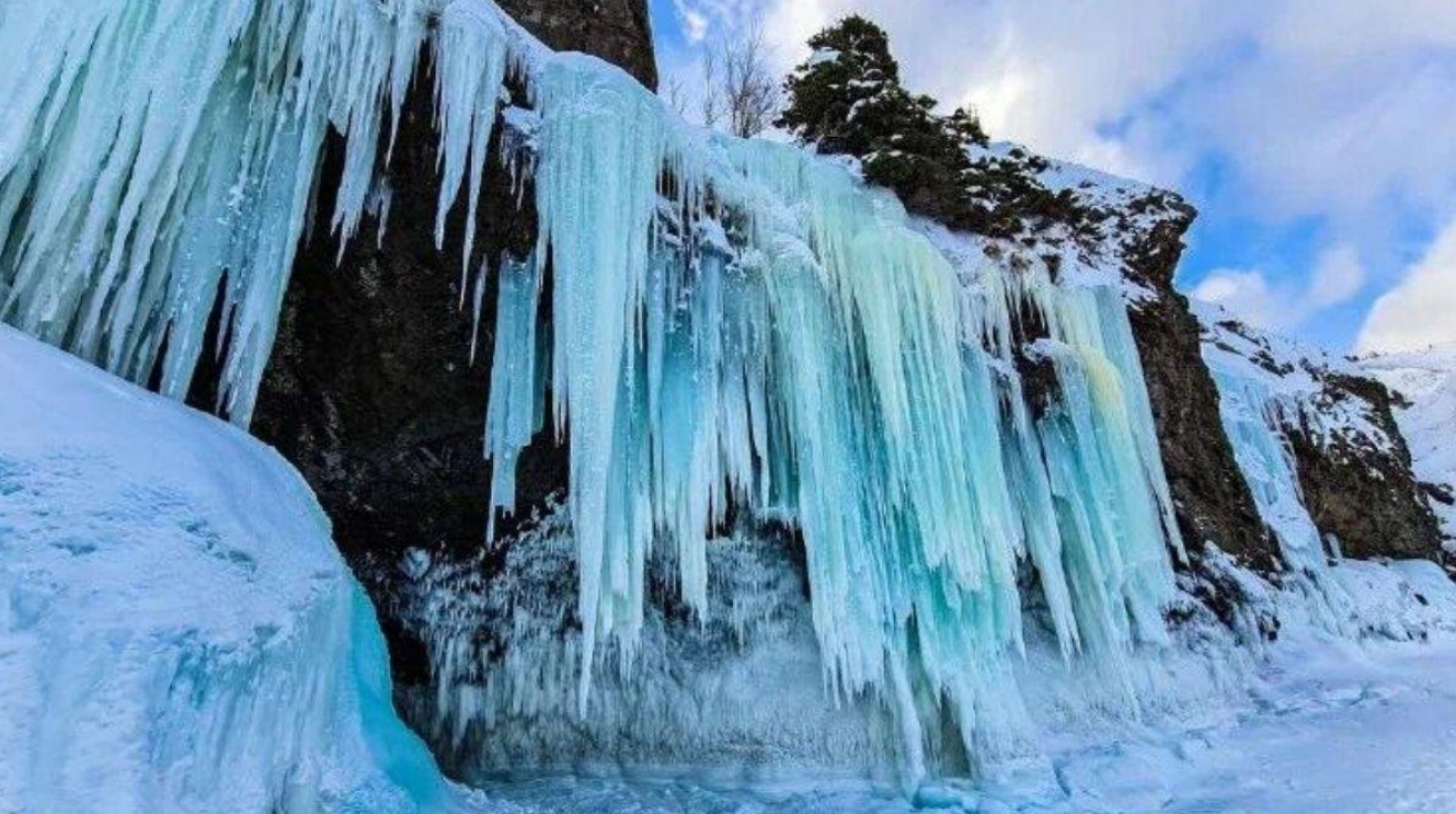 Фото организации