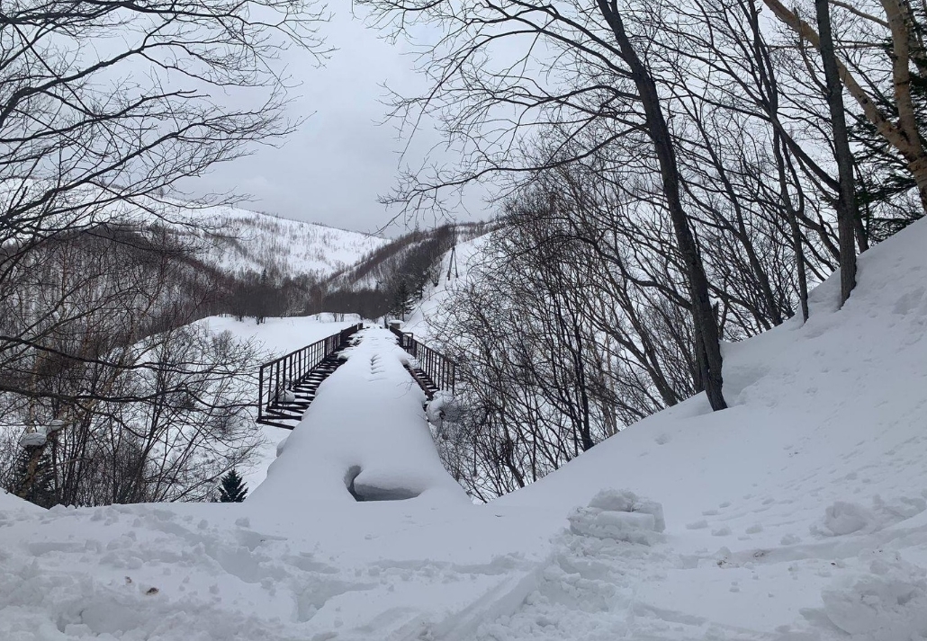 Фото организации