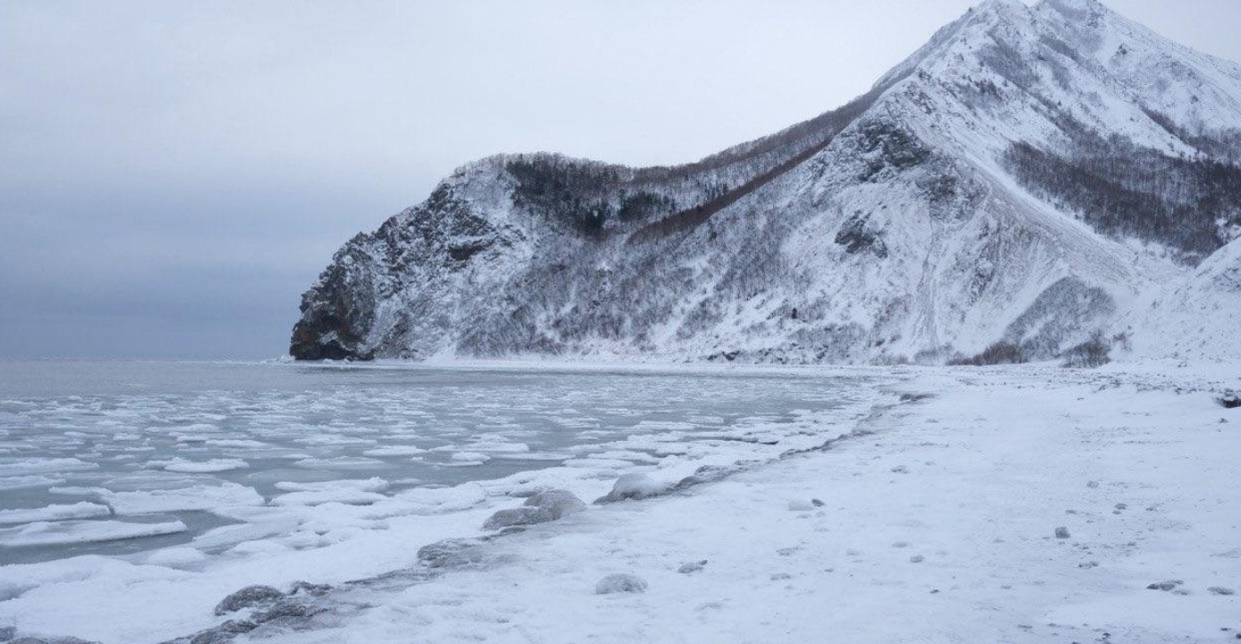 Фото организации