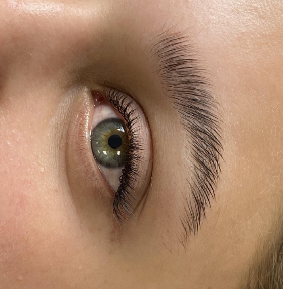 Фото организации