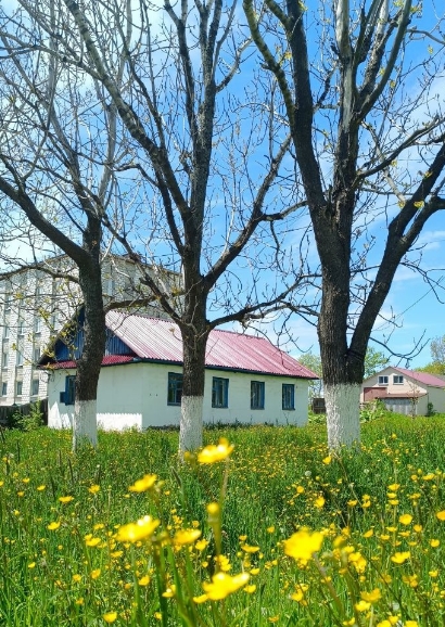 Фото организации