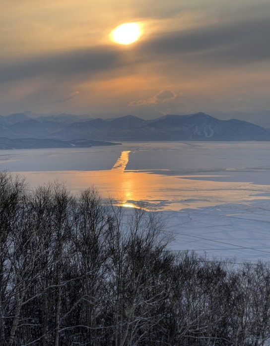 Фото организации