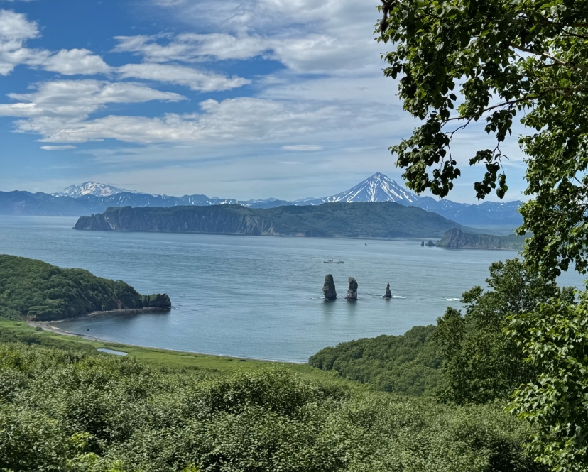 Фото организации