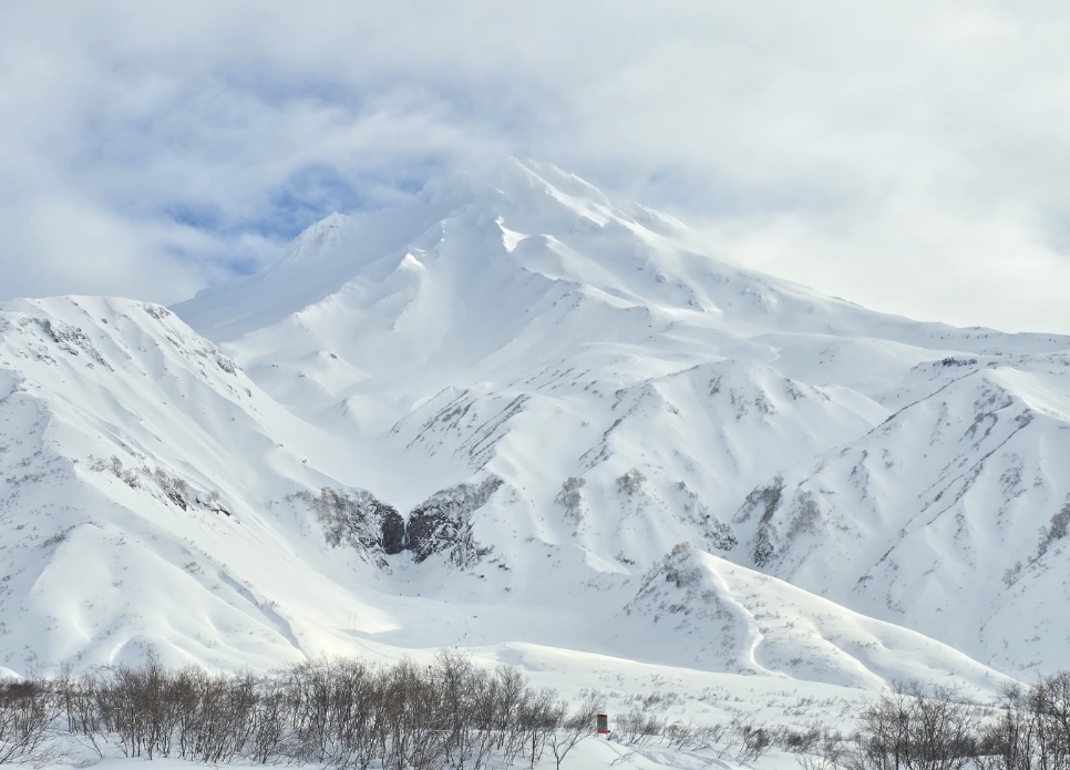 Фото организации