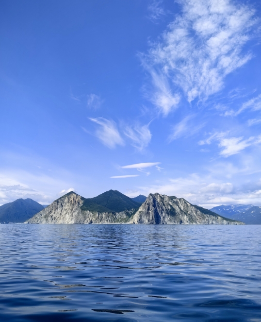 Фото организации