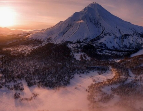 Фото организации