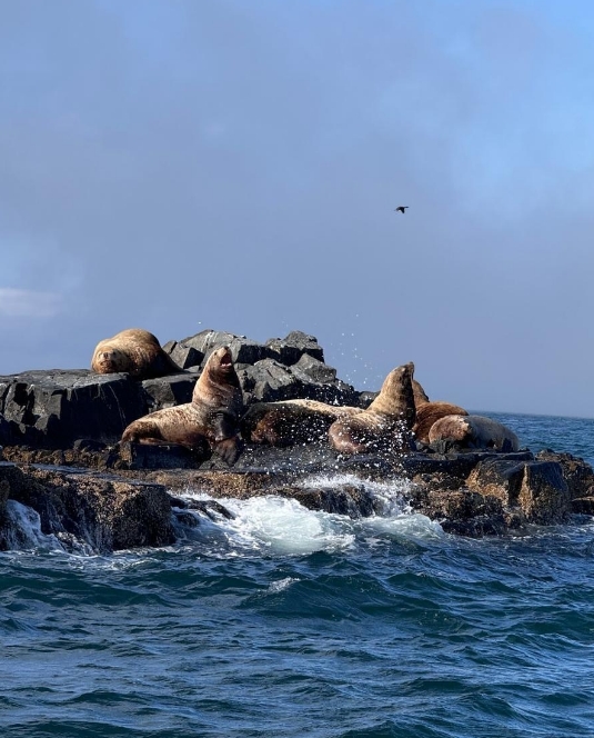 Фото организации