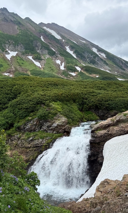 Фото организации