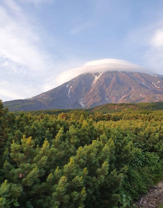 Фото организации