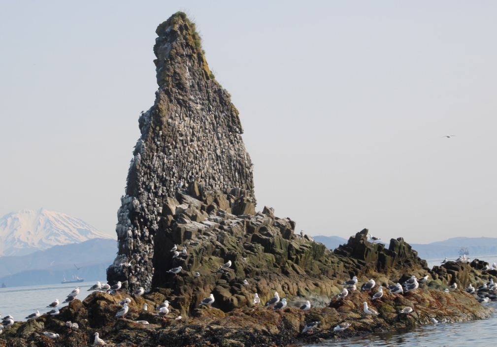 Фото организации