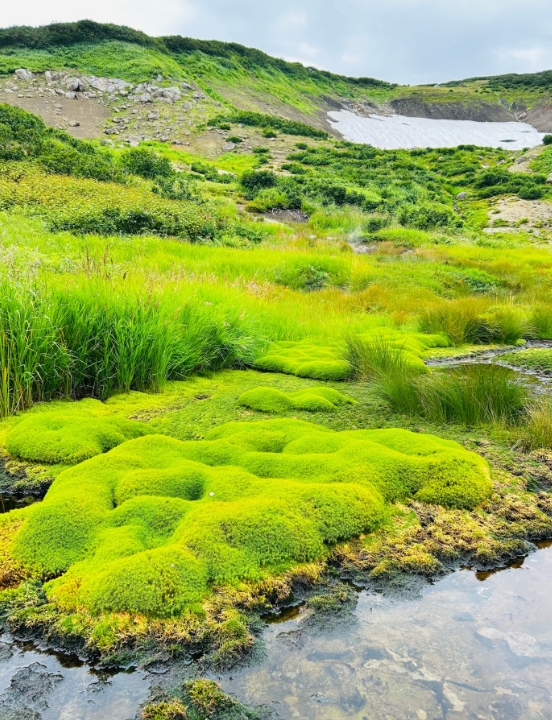 Фото организации