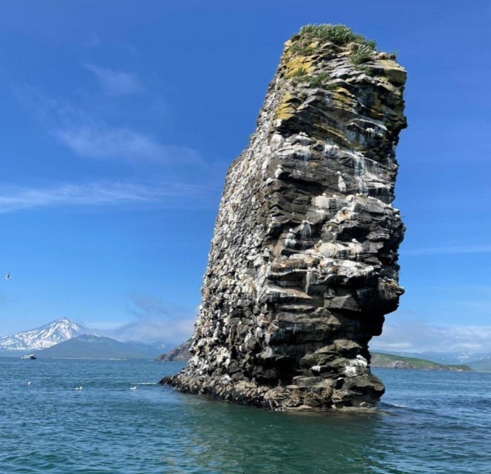 Фото организации