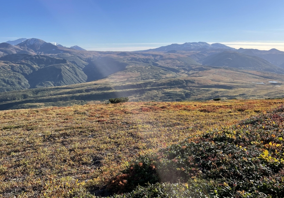 Фото организации