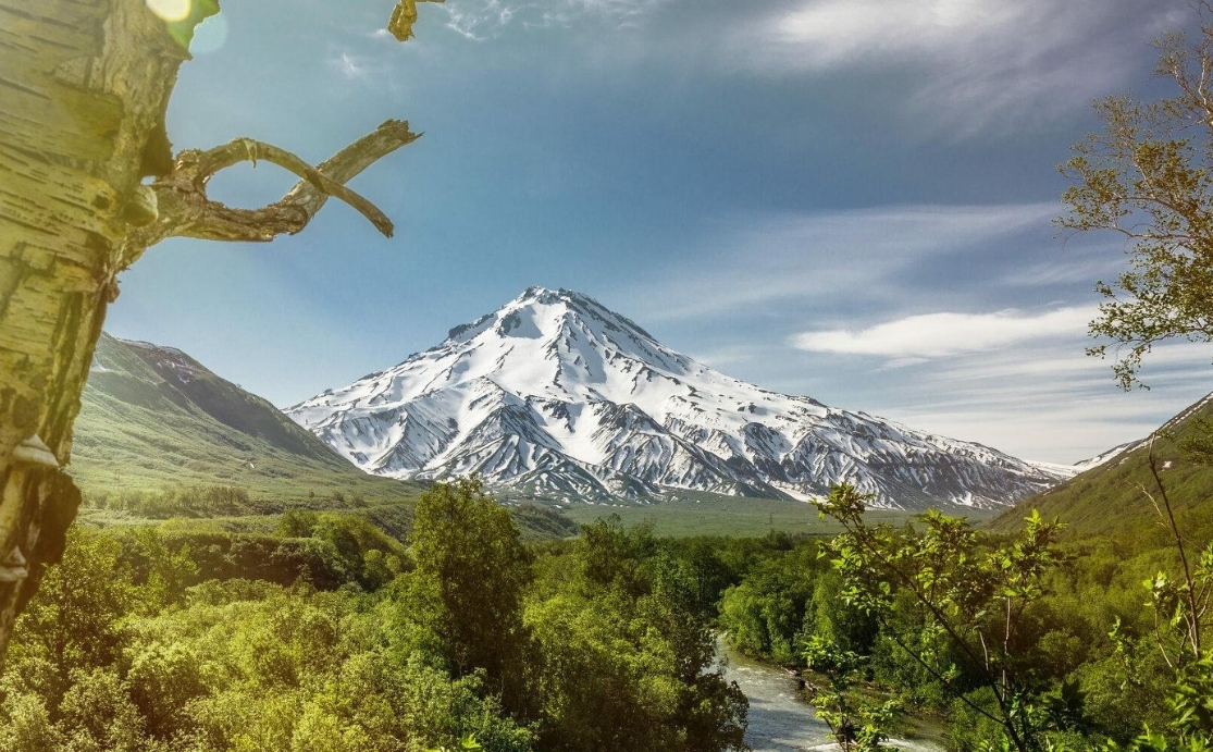 Фото организации