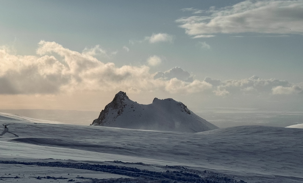 Фото организации