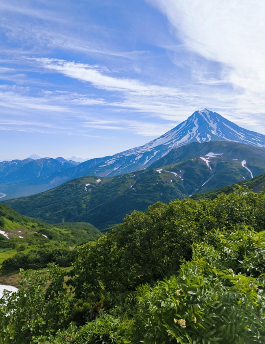 Фото организации
