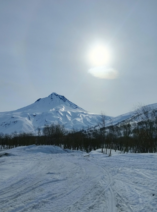 Фото организации