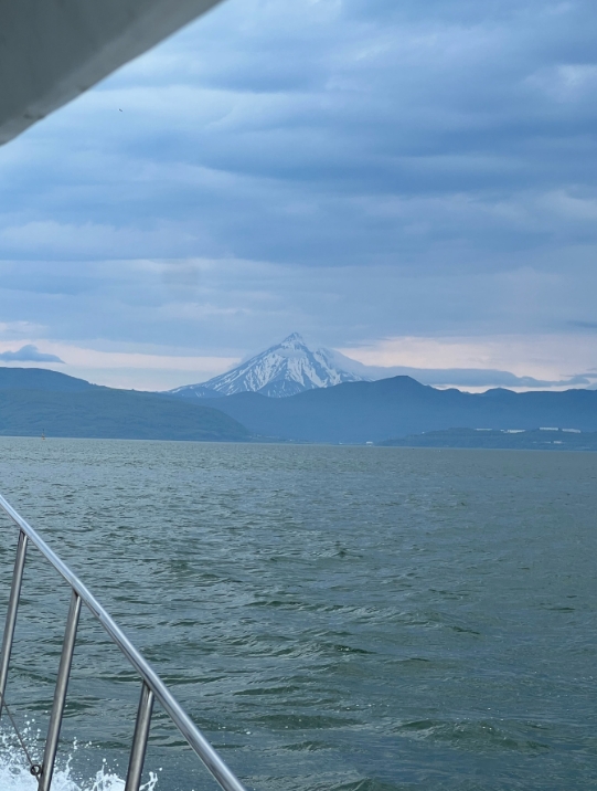 Фото организации