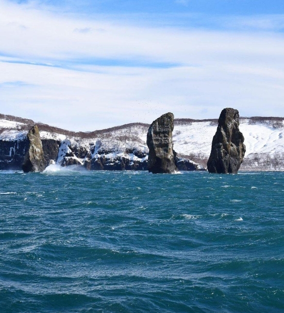 Фото организации