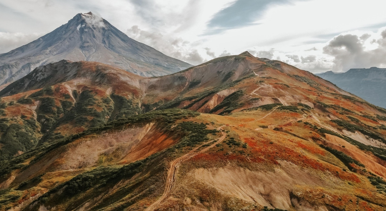 Фото организации