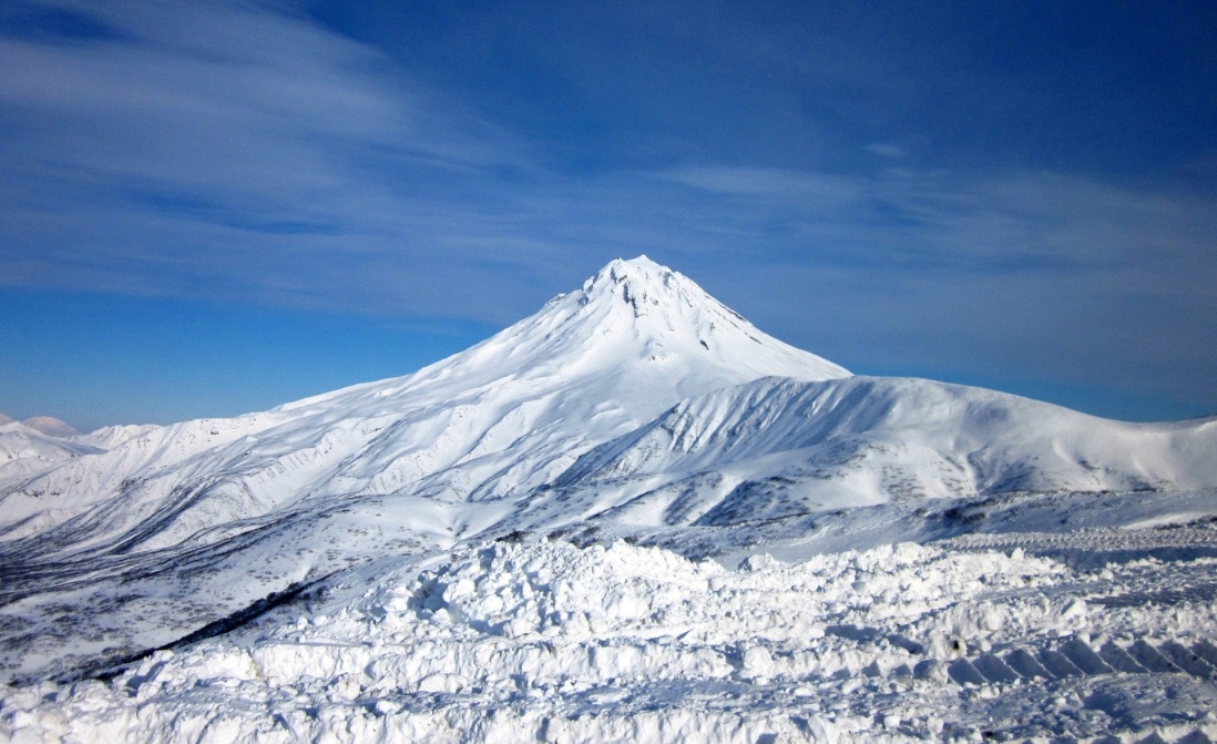 Фото организации