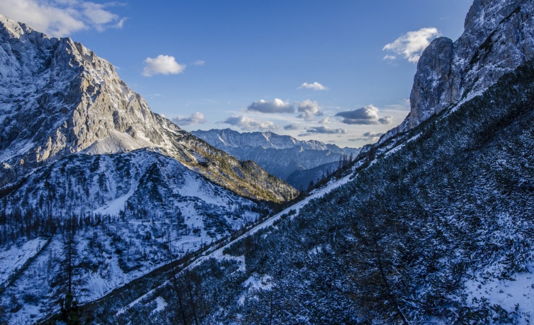 Фото организации