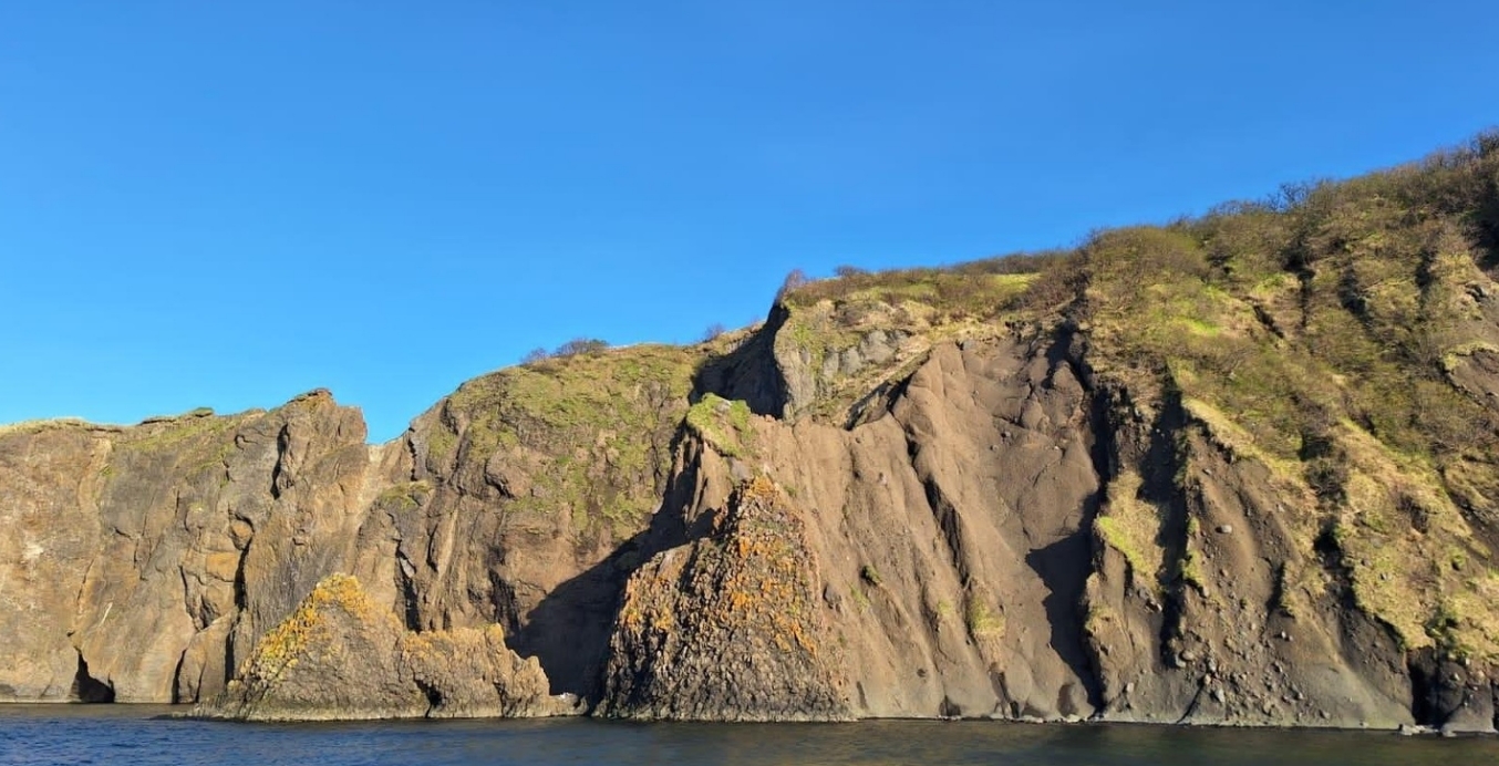 Фото организации