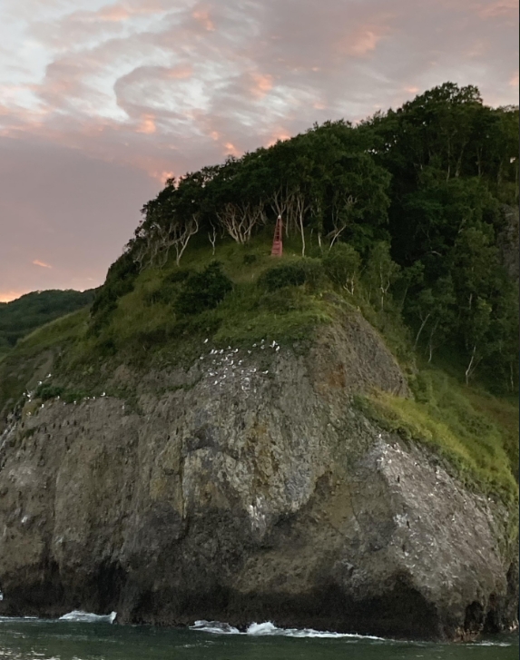 Фото организации