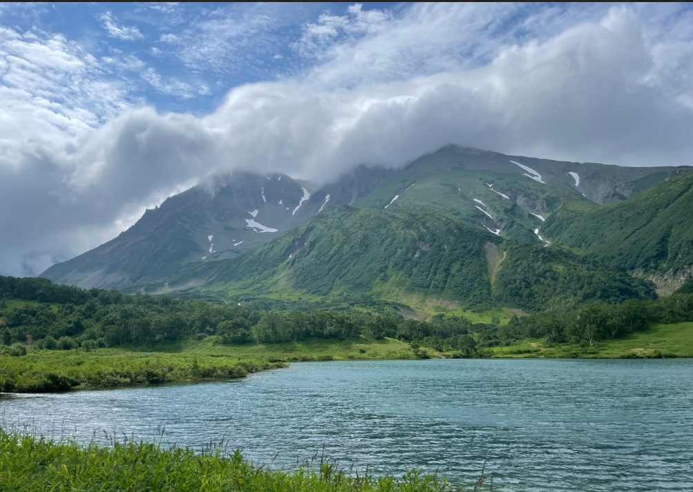 Фото организации