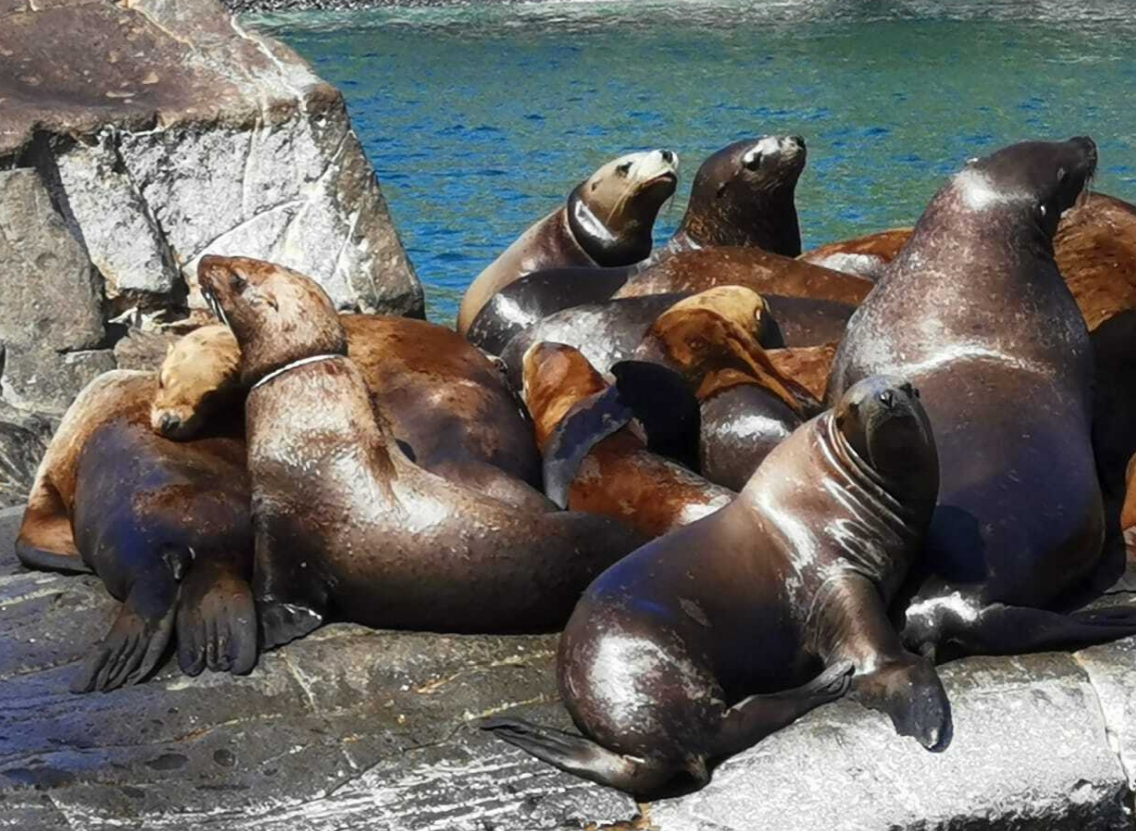 Фото организации