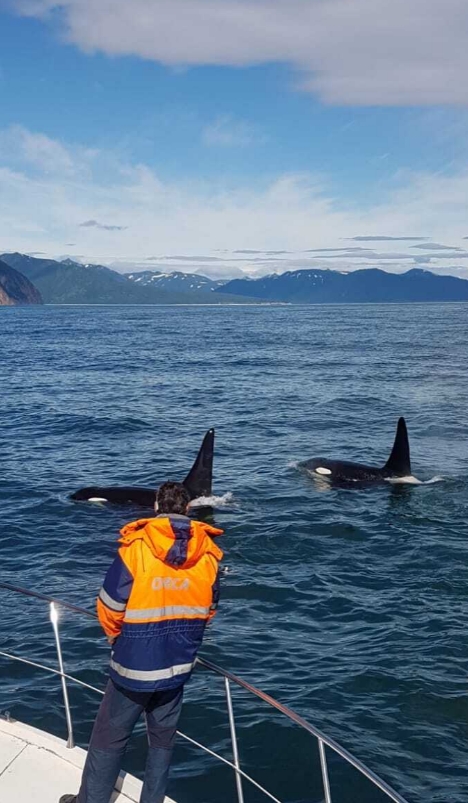 Фото организации