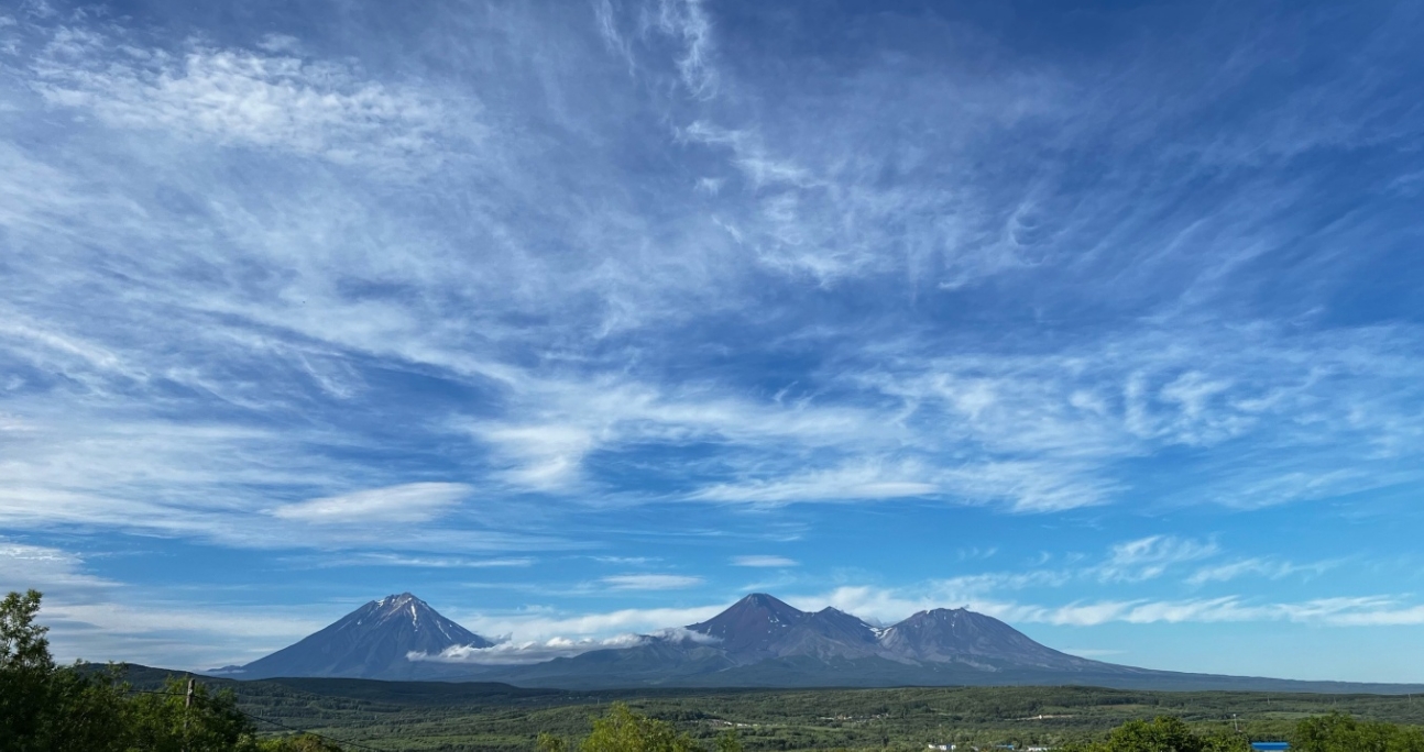 Фото организации