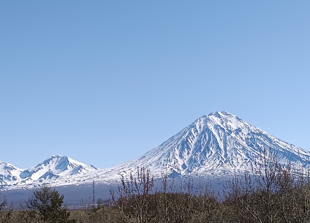 Фото организации