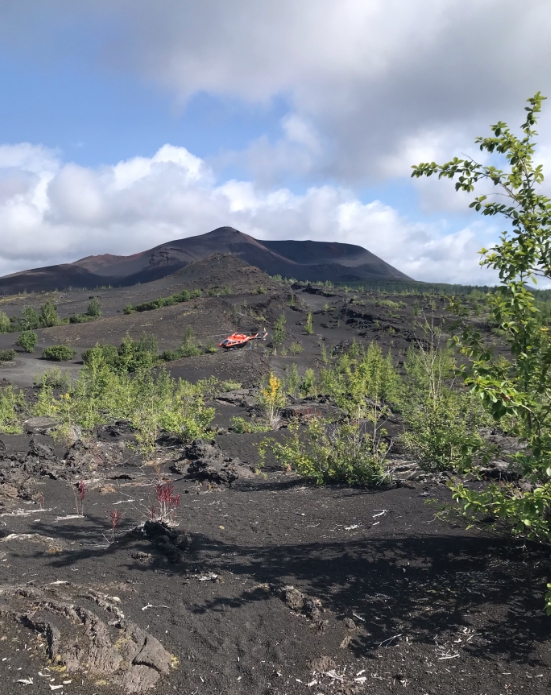 Фото организации