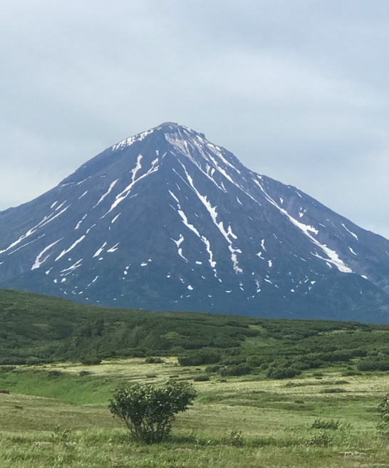 Фото организации