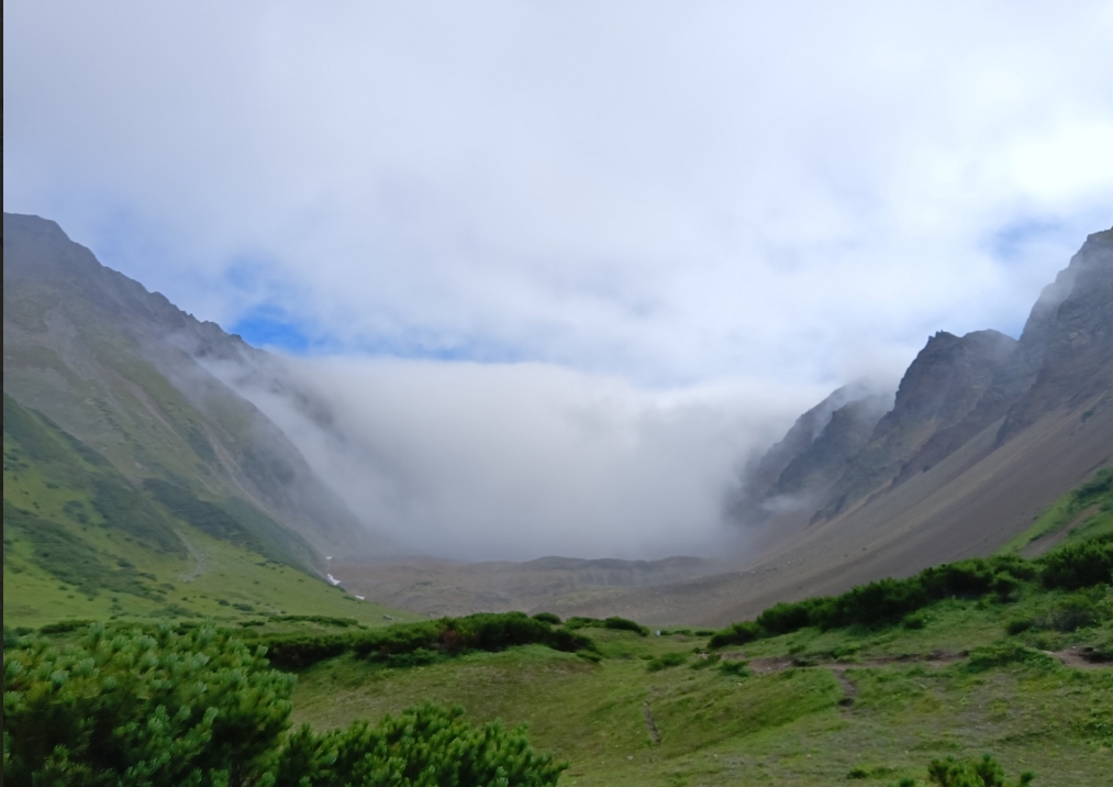 Фото организации