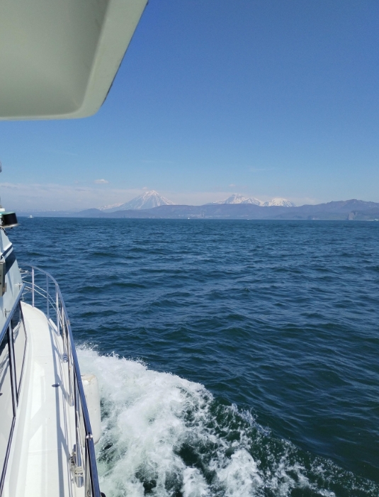 Фото организации