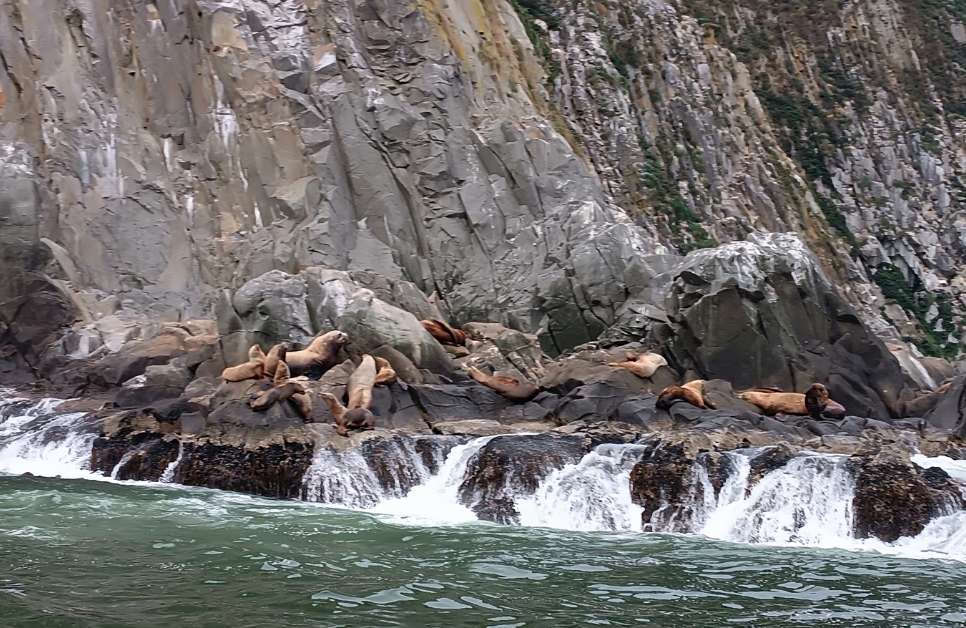 Фото организации