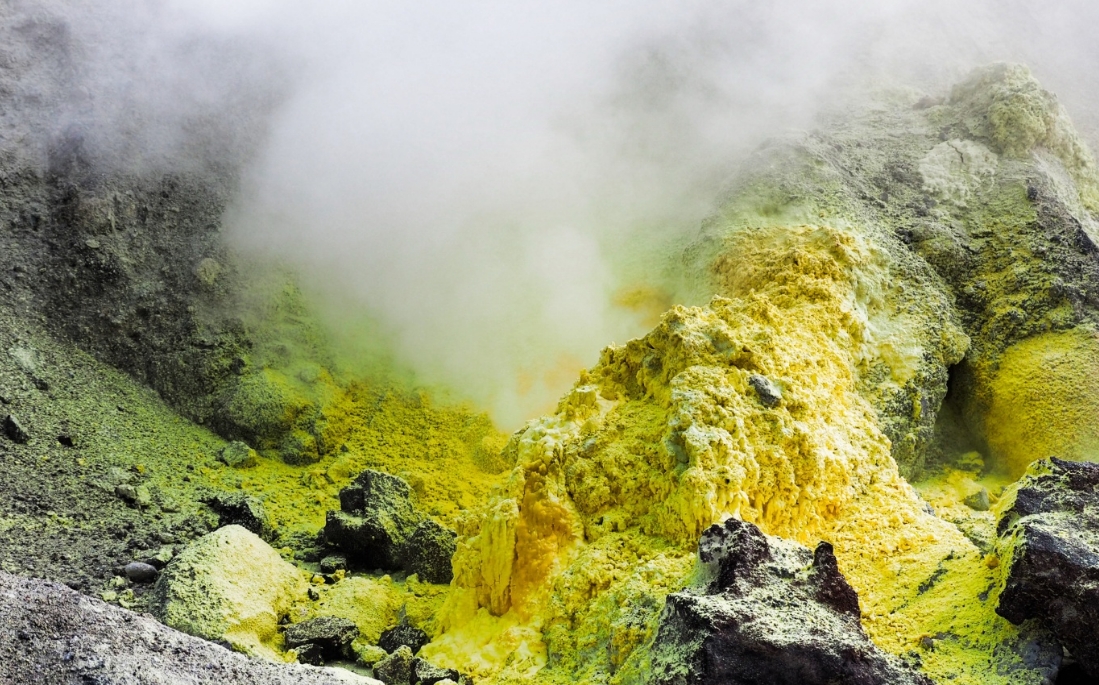 Фото организации