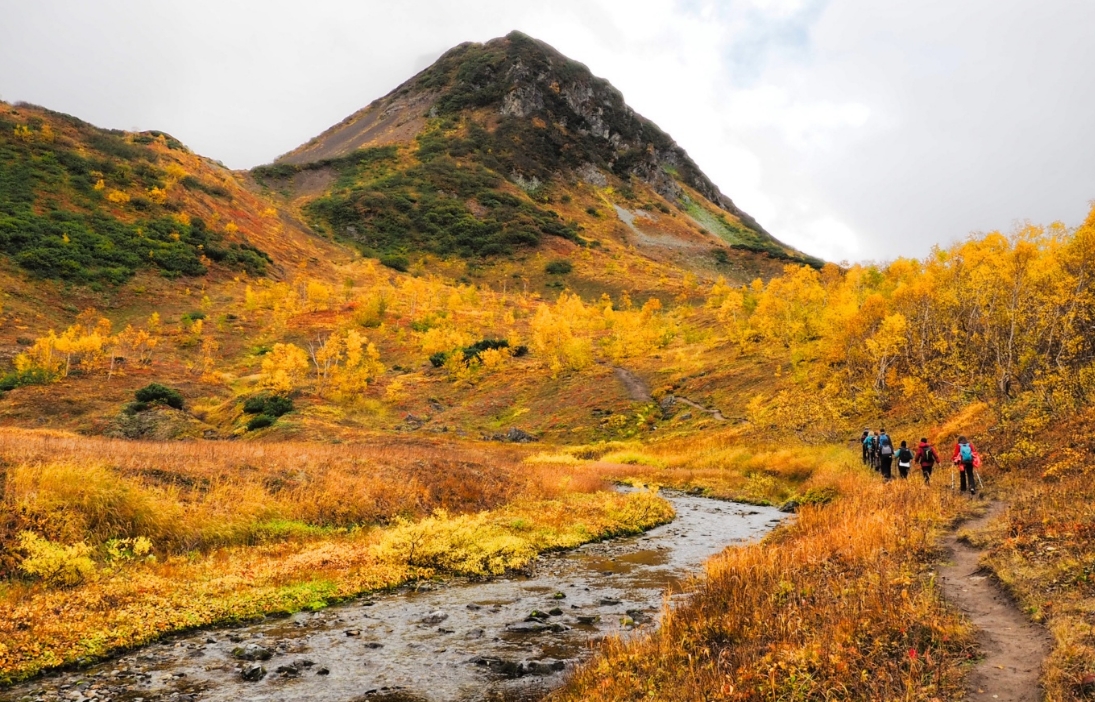 Фото организации