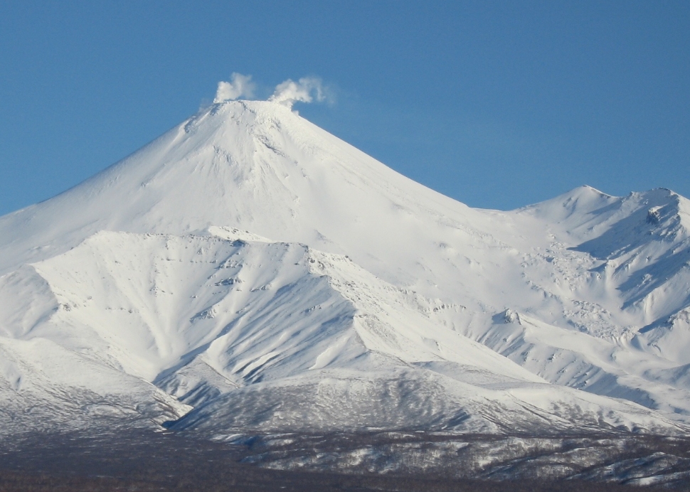Фото организации