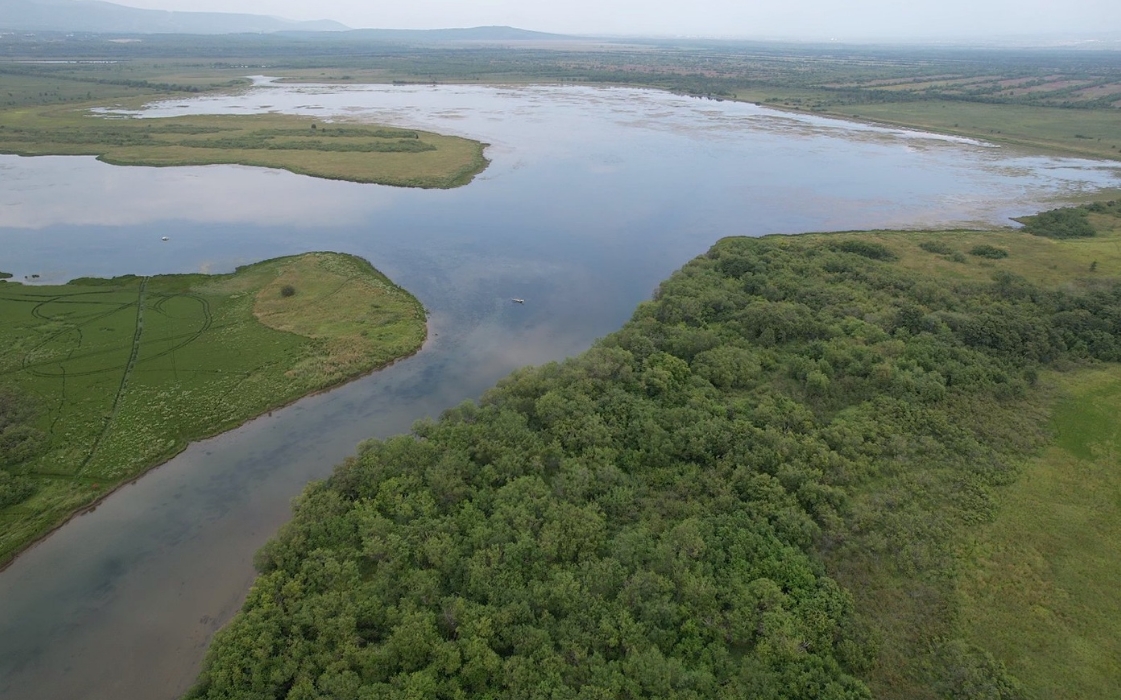 Фото организации