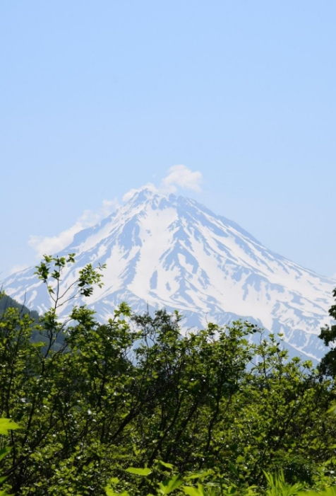 Фото организации