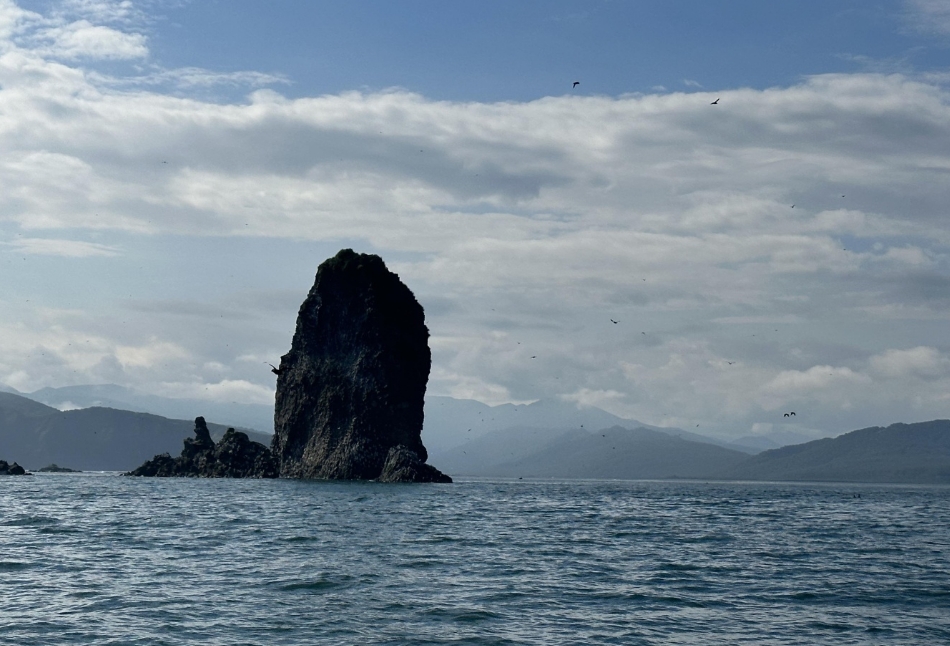 Фото организации