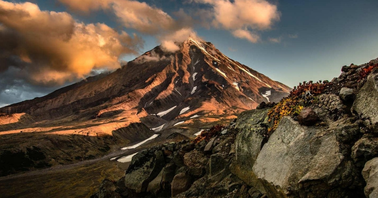 Фото организации