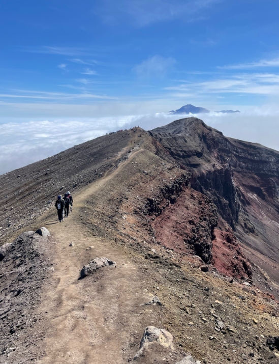 Фото организации